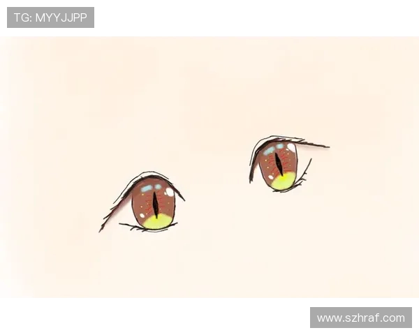 鐨囬┈瀹樺鎭╁痉閲屽厠鎶电編鍚堢粌 宸磋タ绁炵鍓戞寚涓栦勘鏉柊寰佺▼